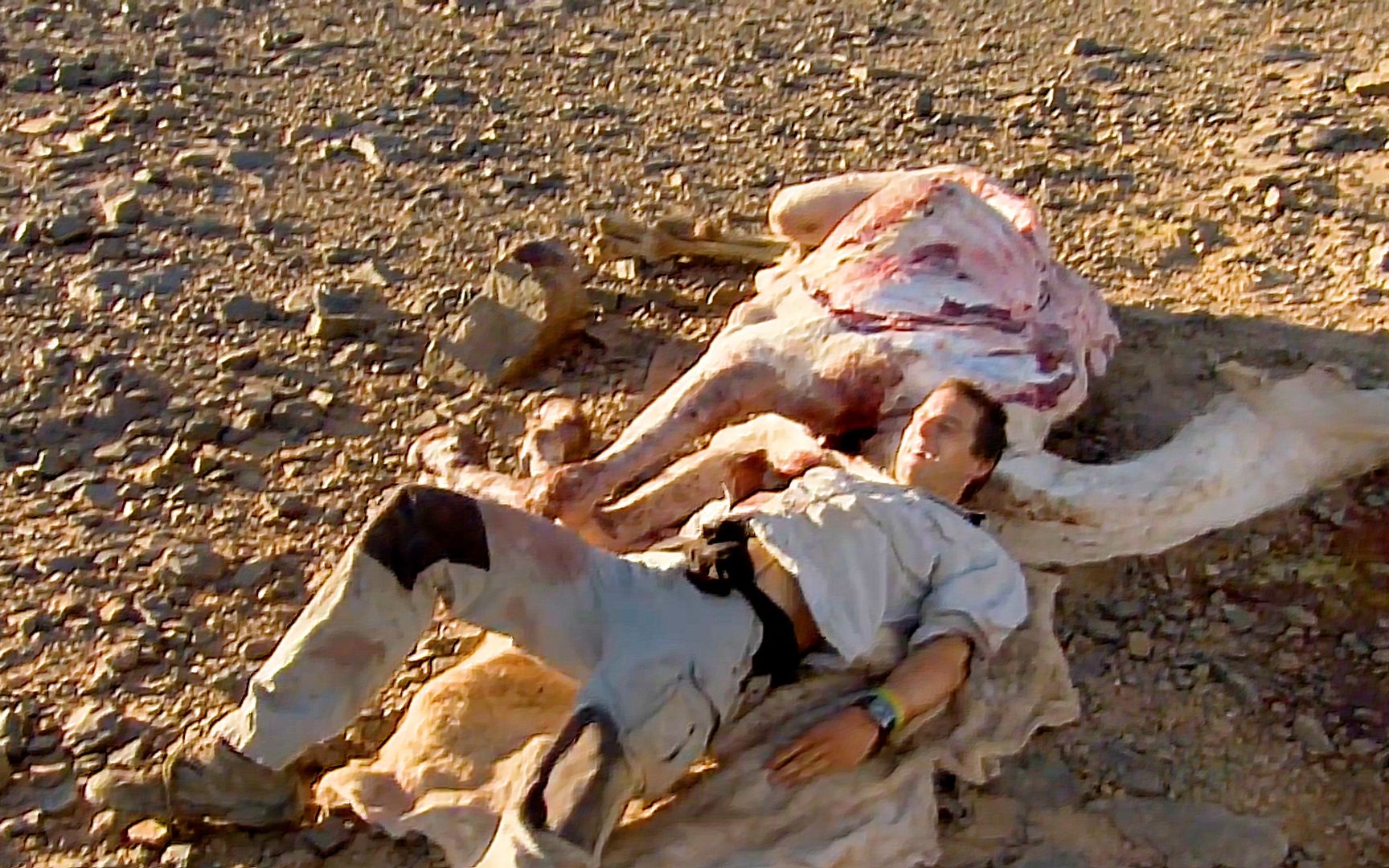 在环境恶劣的沙漠求生,贝爷吃的是骆驼大餐,还有羊球刺身_哔哩哔哩