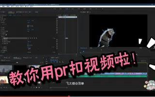 Pr绿屏抠图 搜索结果 哔哩哔哩 Bilibili