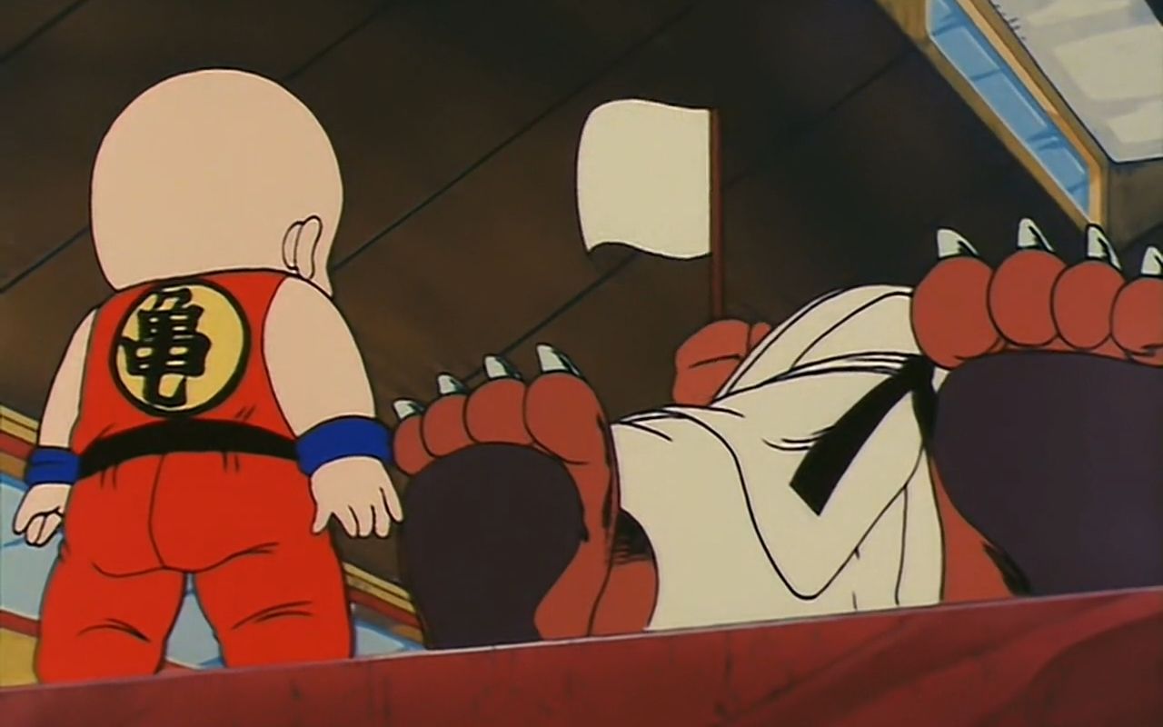 活动作品龙珠解说20集天下第一武道大会锦标赛