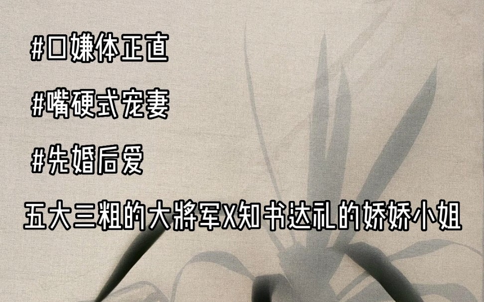 糙汉将军的宠妻日常:五大三粗的大将军x知书达理娇小姐哔哩哔哩bilibili