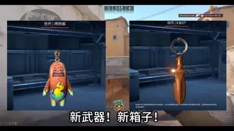 Download Video: 关于大行动最详细的解答！新的武器挂饰、箱子都来了！#cs2 #csgo #cs #csgo饰品 #csgo日常