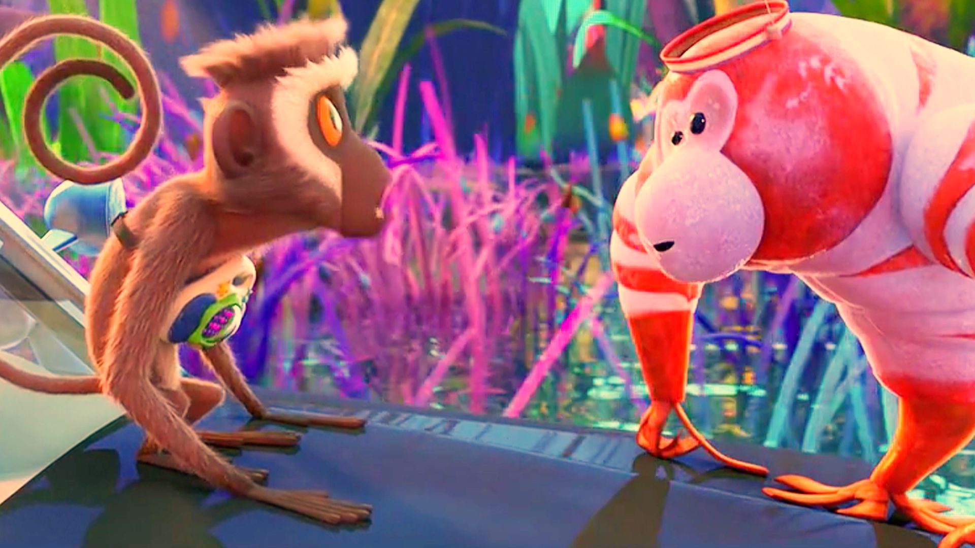 两只猴子都说自己才是猴子,到底谁是猴子《天降美食2》