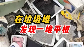 下载视频: 在垃圾堆寻宝，发现一堆平板电脑，成色都很好