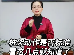 Tải video: 站桩初学者，如何看自己有没有站对？