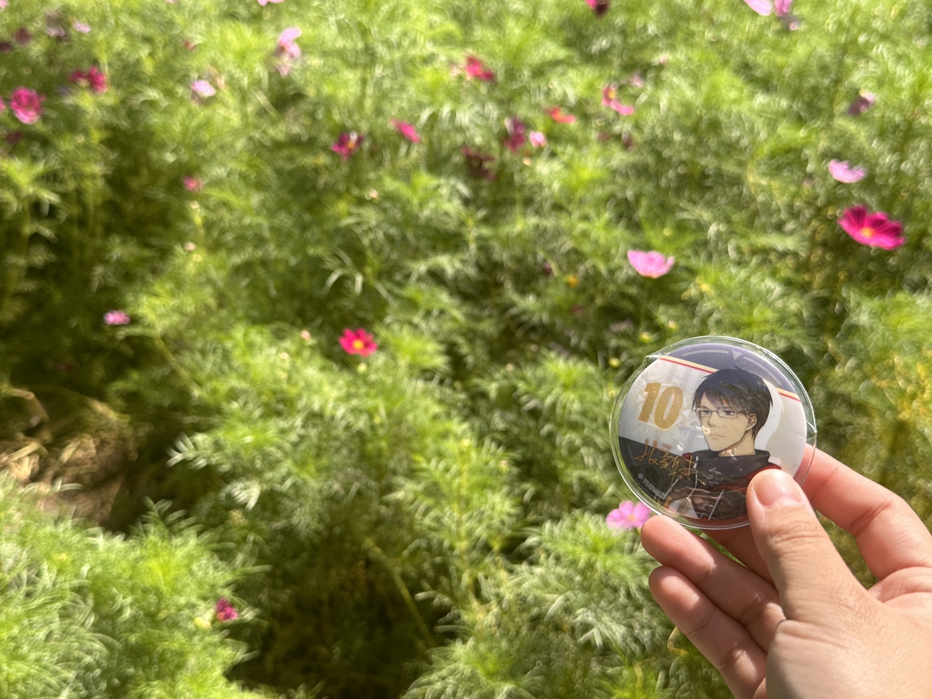 张新杰の新疆之旅