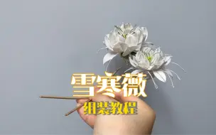 Tải video: 手工缠花之玉骨遥雪寒薇教程：成品组装