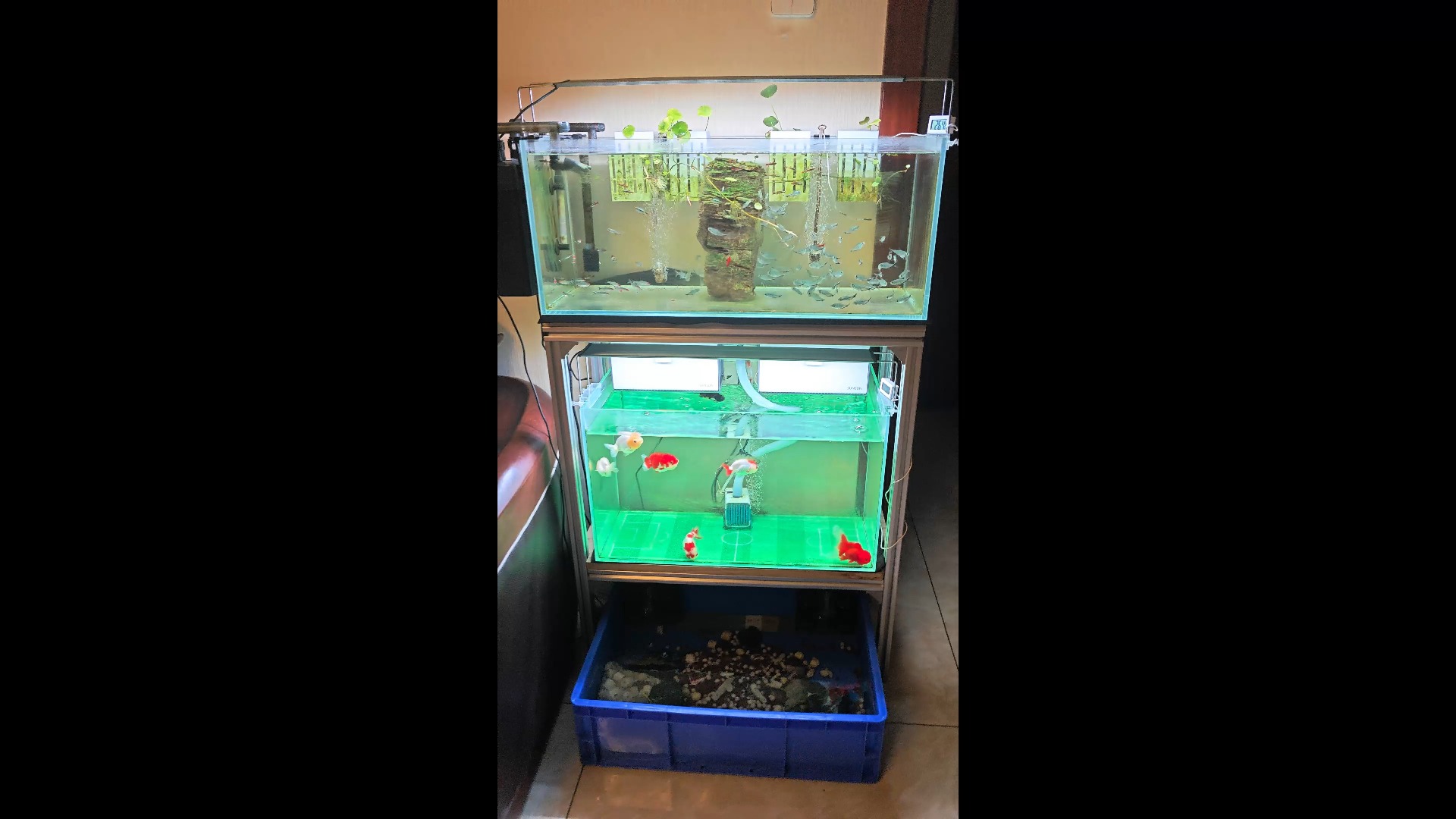 铝型材鱼缸架秘密行动