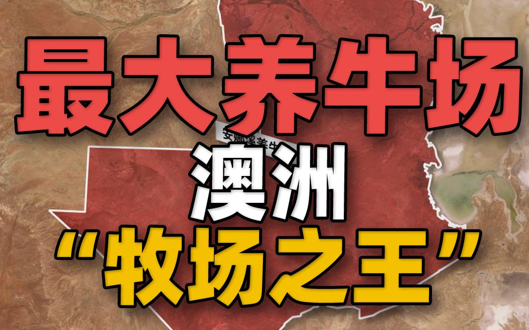 澳洲有个世界上最大的养牛场,“牧场之王”比以色列领土还大哔哩哔哩bilibili