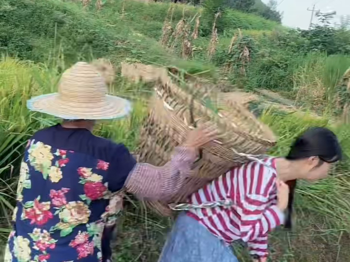 干农活的农村孩子