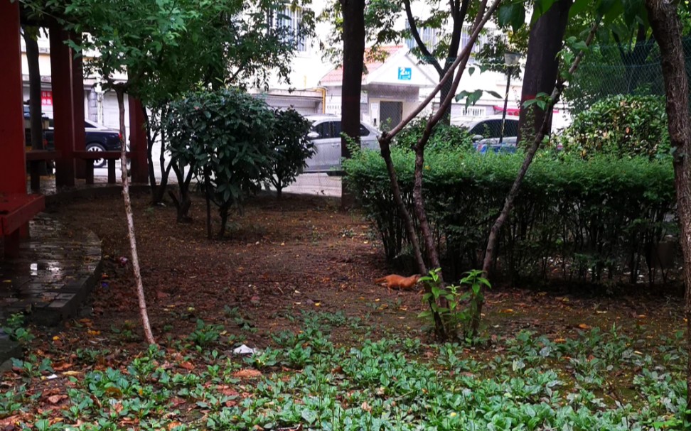 [图]晴和雨終会饱满