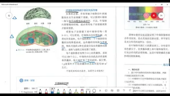 Скачать видео: 叶绿体的结构和功能