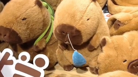 卡比巴拉感冒了-摩羯的green666-摩羯的green666-哔哩哔哩视频