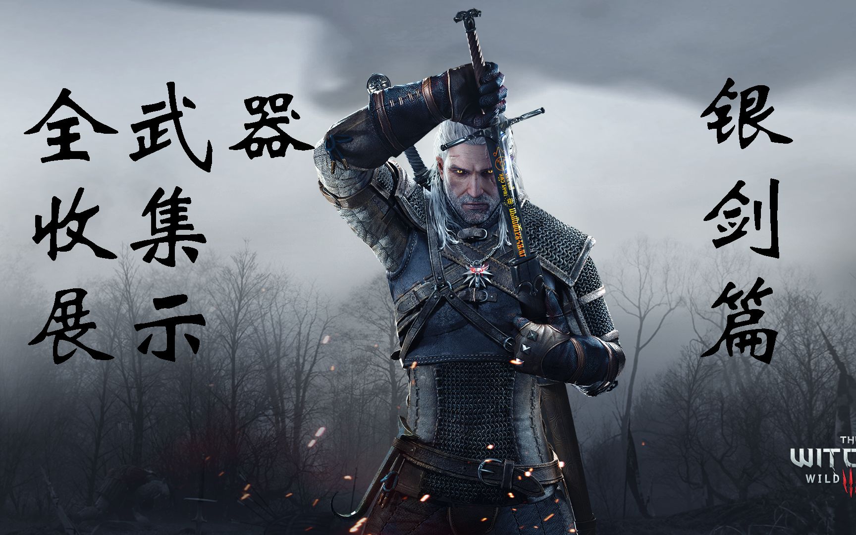 活动作品巫师三全武器细节展示银剑篇