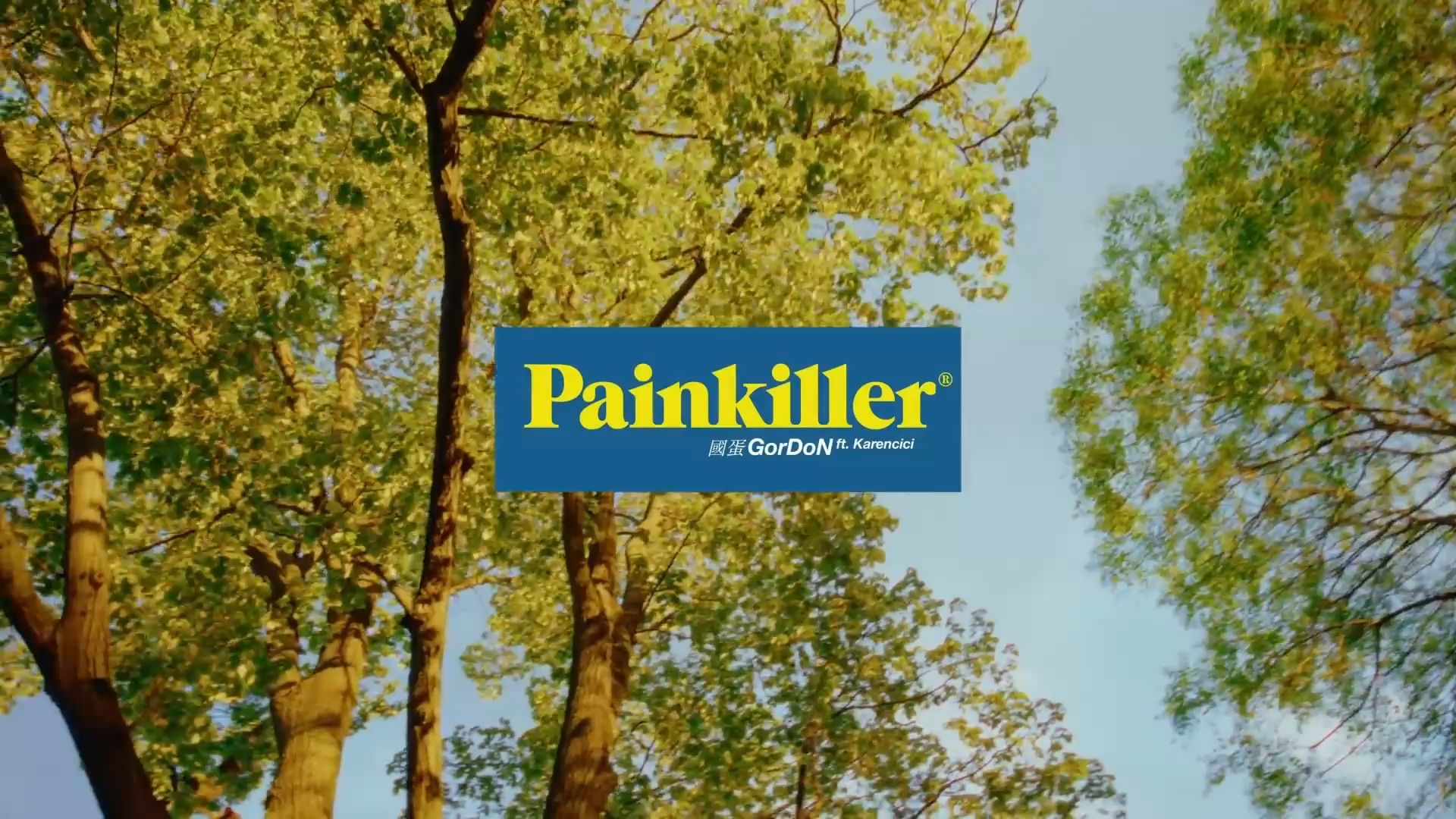 【国蛋]】 GorDoN  Painkiller ft. Karencici哔哩哔哩bilibili