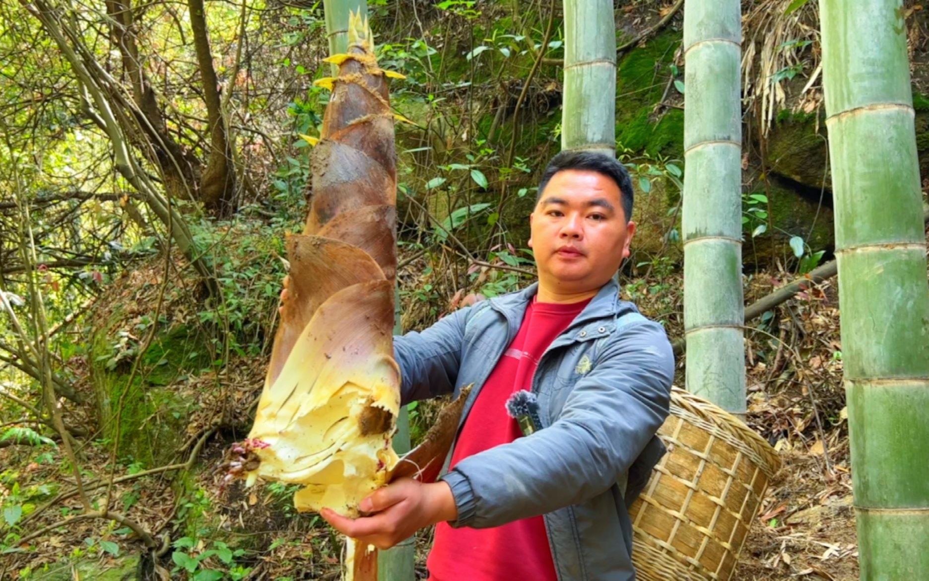 [图]来到山上挖竹笋，一根比一根大，这样的农村生活你喜欢吗？