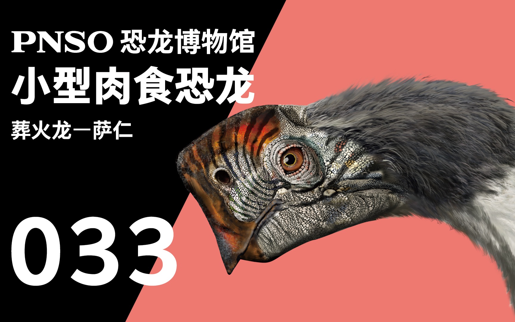 pnso恐龙博物馆 三分钟带你认识一种恐龙——葬火龙 萨仁