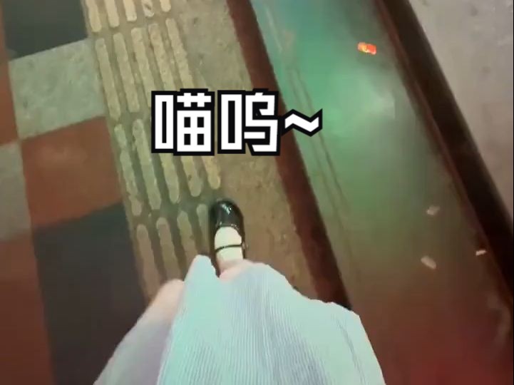 【CatchCats】 喵呜~哔哩哔哩bilibili