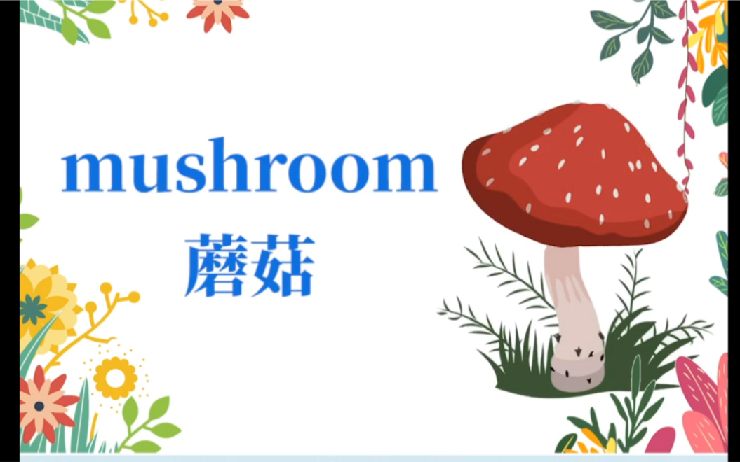 今天我们来学习蘑菇的英文哦,小朋友们你们学会了吗?