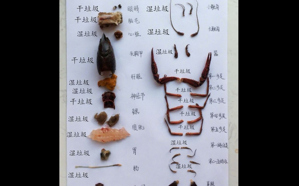 又疯了一个-网络上的搞笑沙雕图〔37