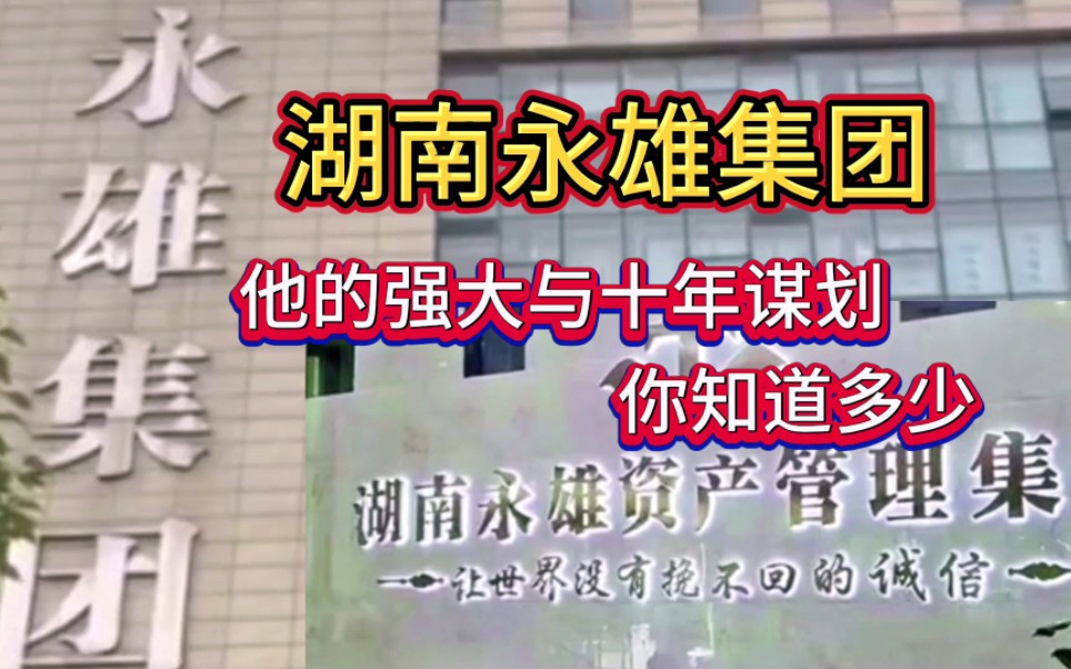 永雄集团被安徽警方跨省突袭而轰然倒下,但是他的十年谋划你知道吗?哔哩哔哩bilibili