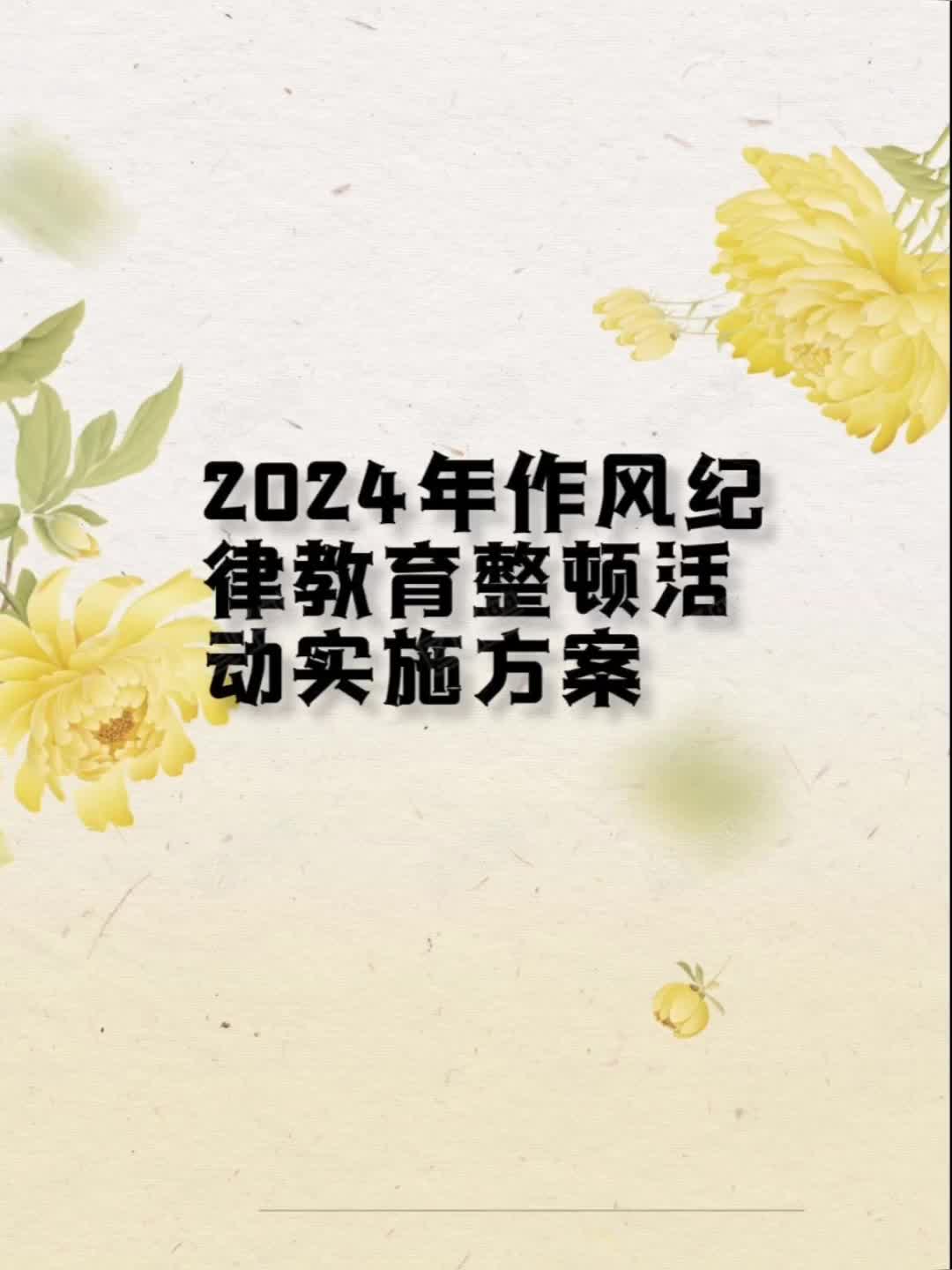 2024年作风纪律教育整顿活动实施方案