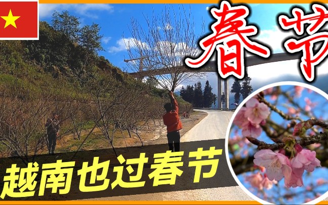 越南也过春节跟中国一样.哔哩哔哩bilibili