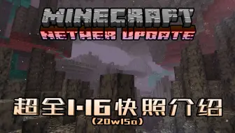 Minecraft 在玄武岩三角洲上生存下来 哔哩哔哩 Bilibili