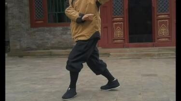 姜式（姜容樵）八卦掌_哔哩哔哩_bilibili