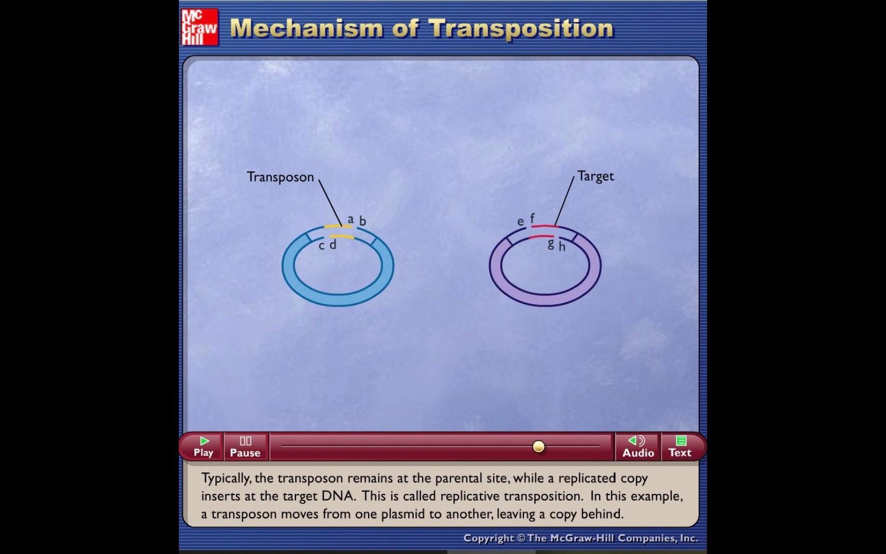 转座机理Mechanism of Transposition动画哔哩哔哩bilibili