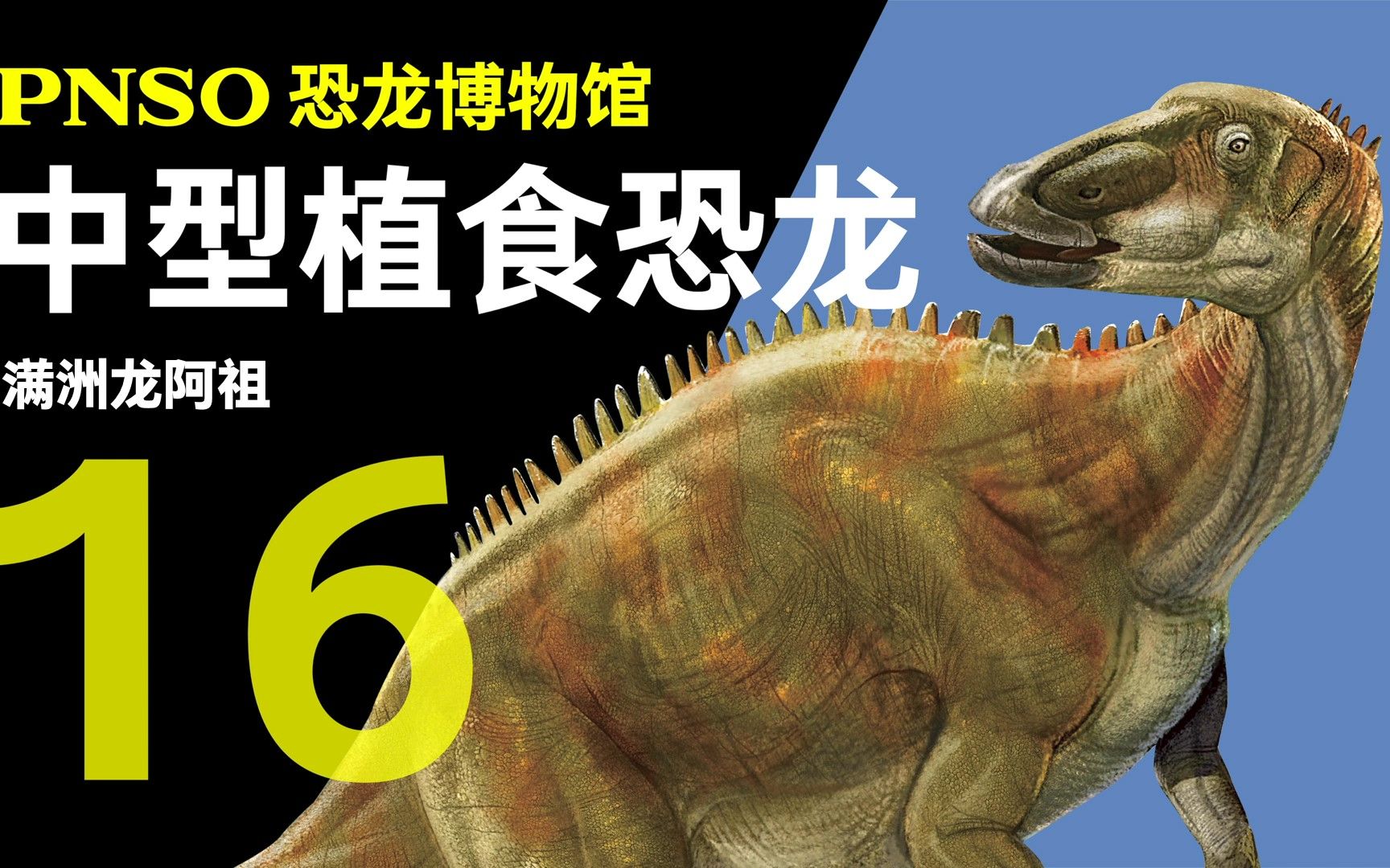 pnso恐龙博物馆:神州第一龙-满洲龙阿祖_哔哩哔哩_bilibili