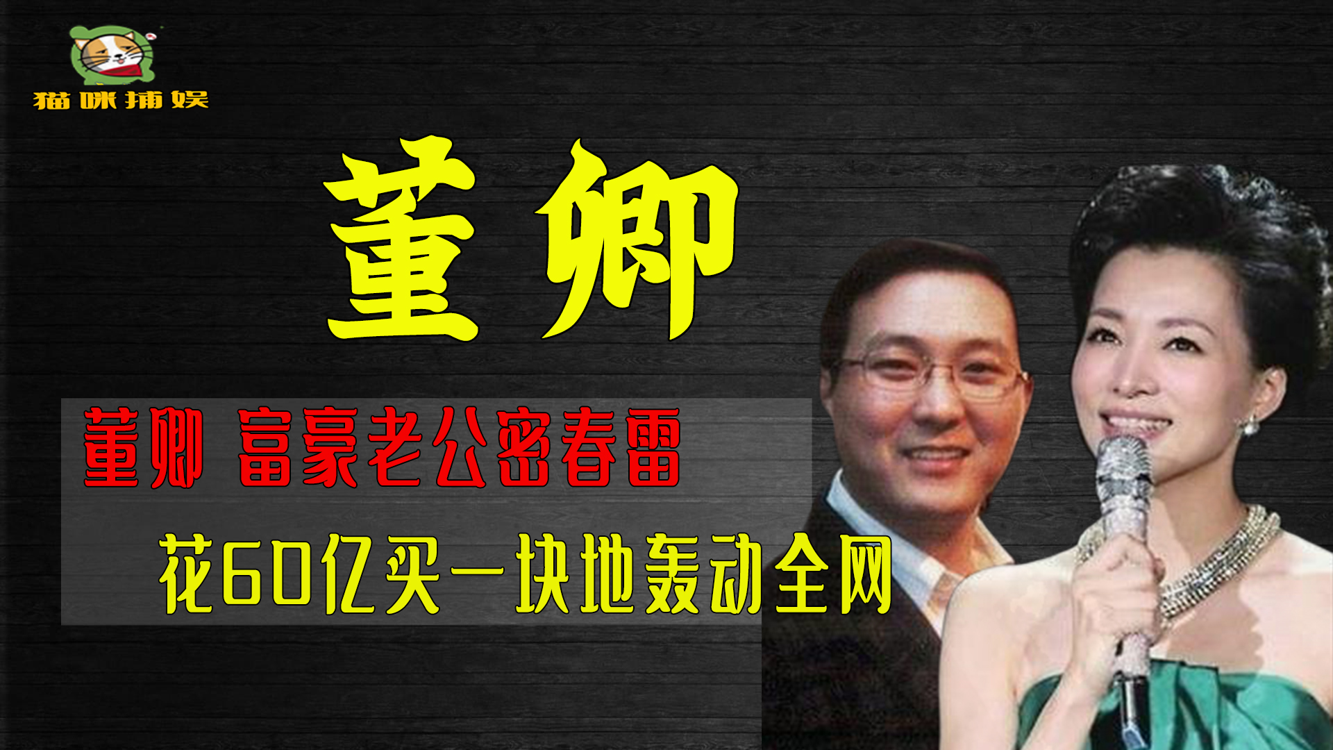 董卿:富豪老公密春雷,花60亿买一块地轰动全网,他到底什么来头哔哩哔哩bilibili