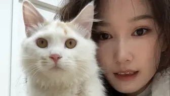 踩奶王彻底长呲了，还成了臭臭猫