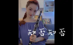 Tải video: “一朝花开傍柳 寻香误觅亭侯”—【单簧管】知否知否（附谱）