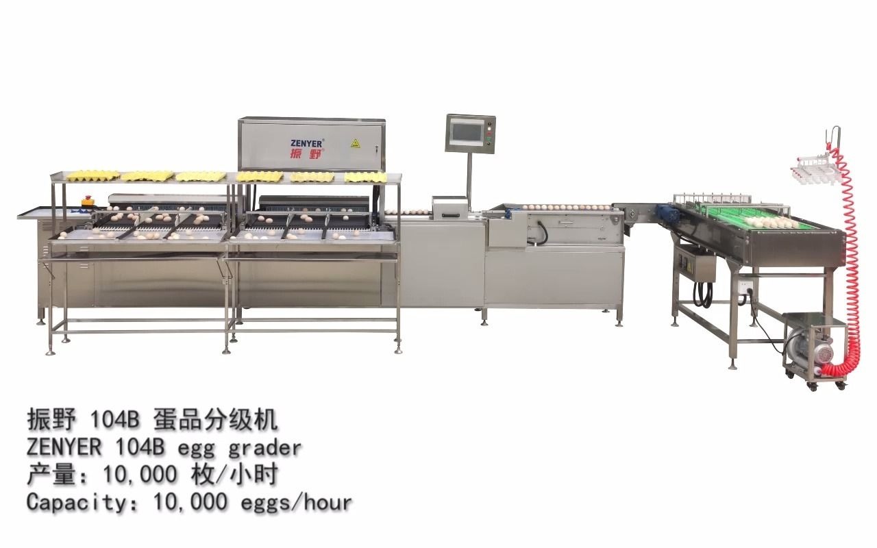 【振野】104B系列蛋品分级机1万枚鸡蛋鸭蛋重量分拣机哔哩哔哩bilibili