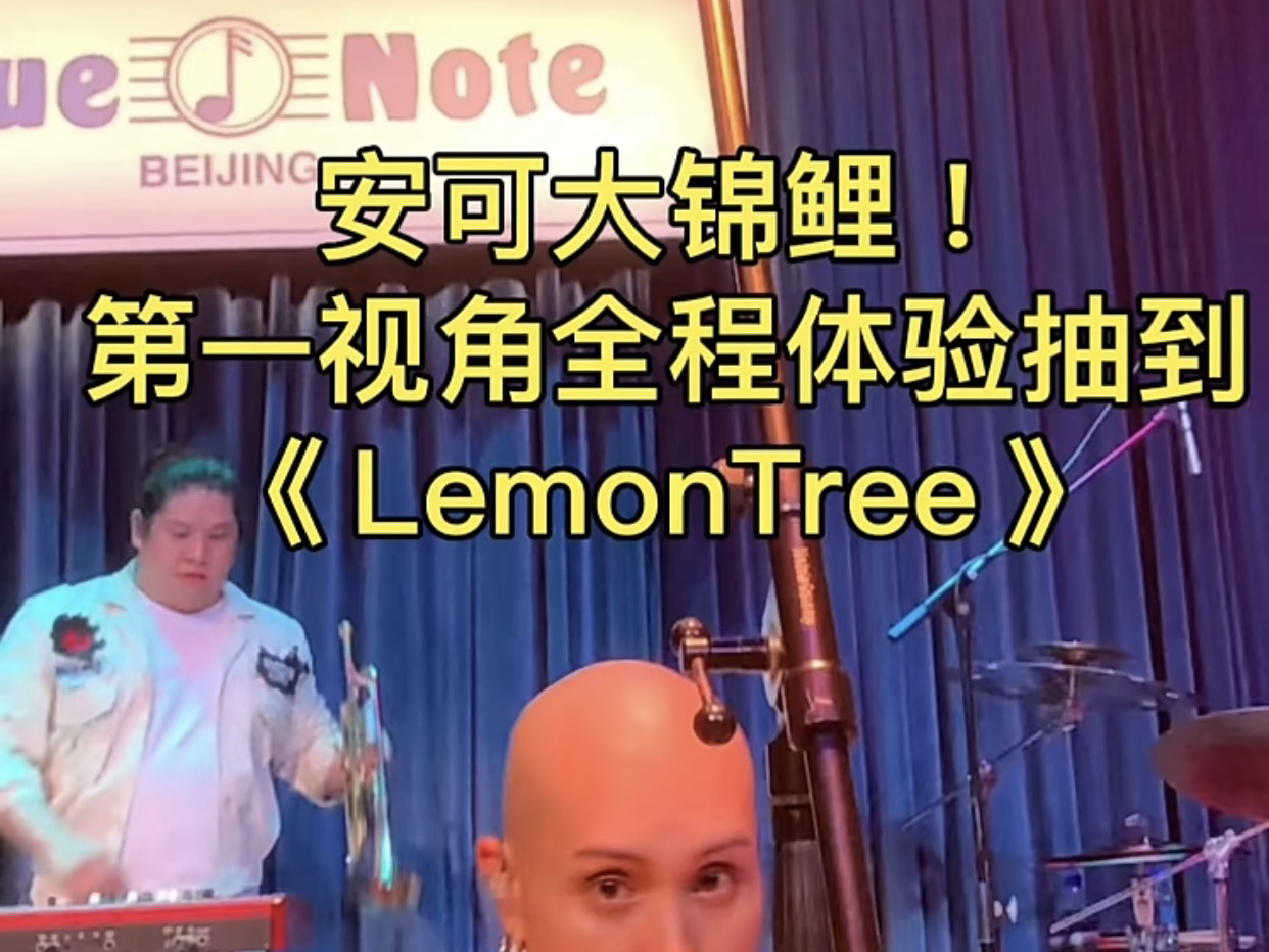 【YELLOW黄宣】第一视角沉浸式体验黄宣北京首场抽到《Lemon Tree》,梦回《歌手》舞台哔哩哔哩bilibili