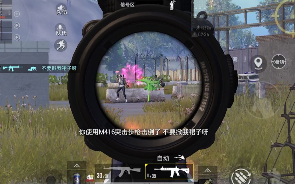 三、结论建议