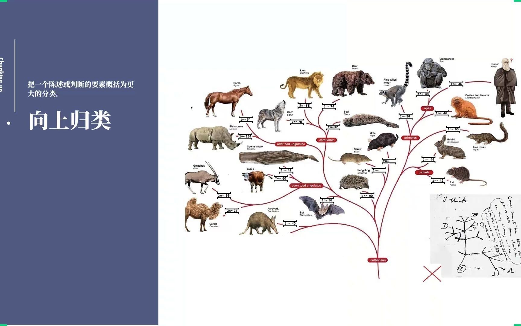 [图]《语言的魔力》-第3章&第4章读书分享