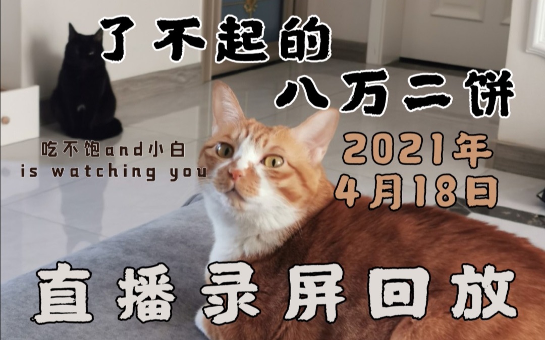 【直播录屏】了不起的八万二饼2021.4.