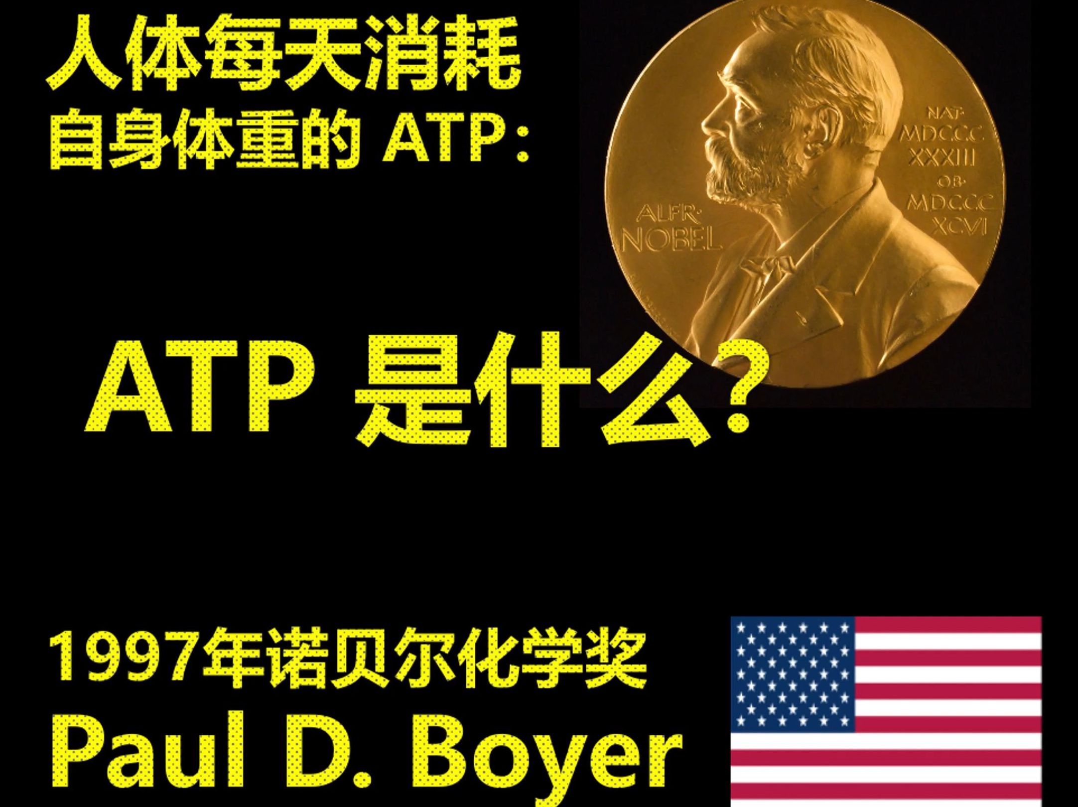 人体每天消耗自身体重的 ATP: ATP 是什么?1997年诺贝尔化学奖哔哩哔哩bilibili