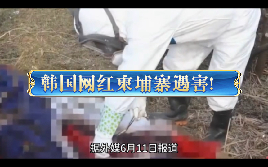 韩国网红柬埔寨遇害!