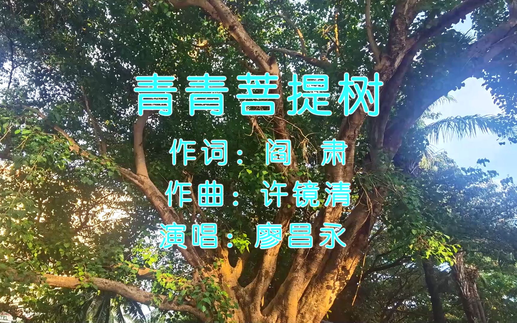 菩提树歌曲(菩提树歌曲原唱)