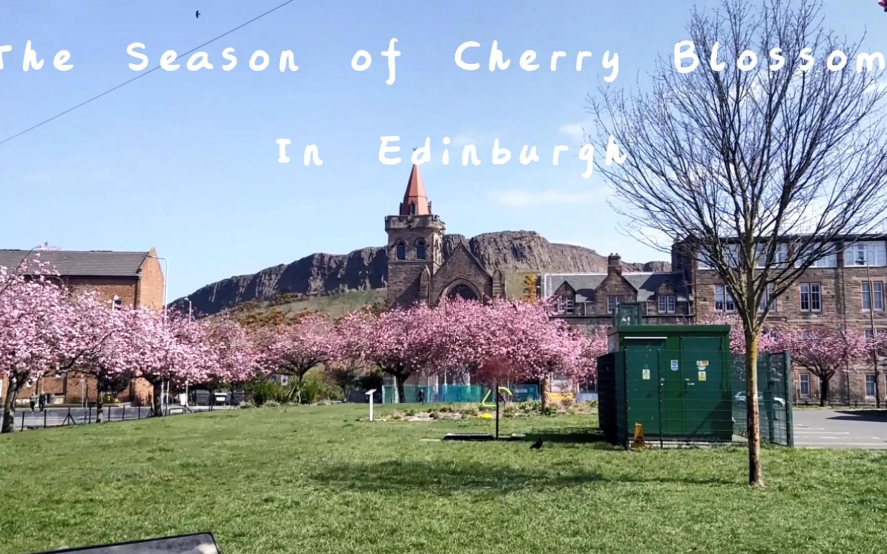 [图]【vlog of our life #19】The Season of Cherry Blossoms