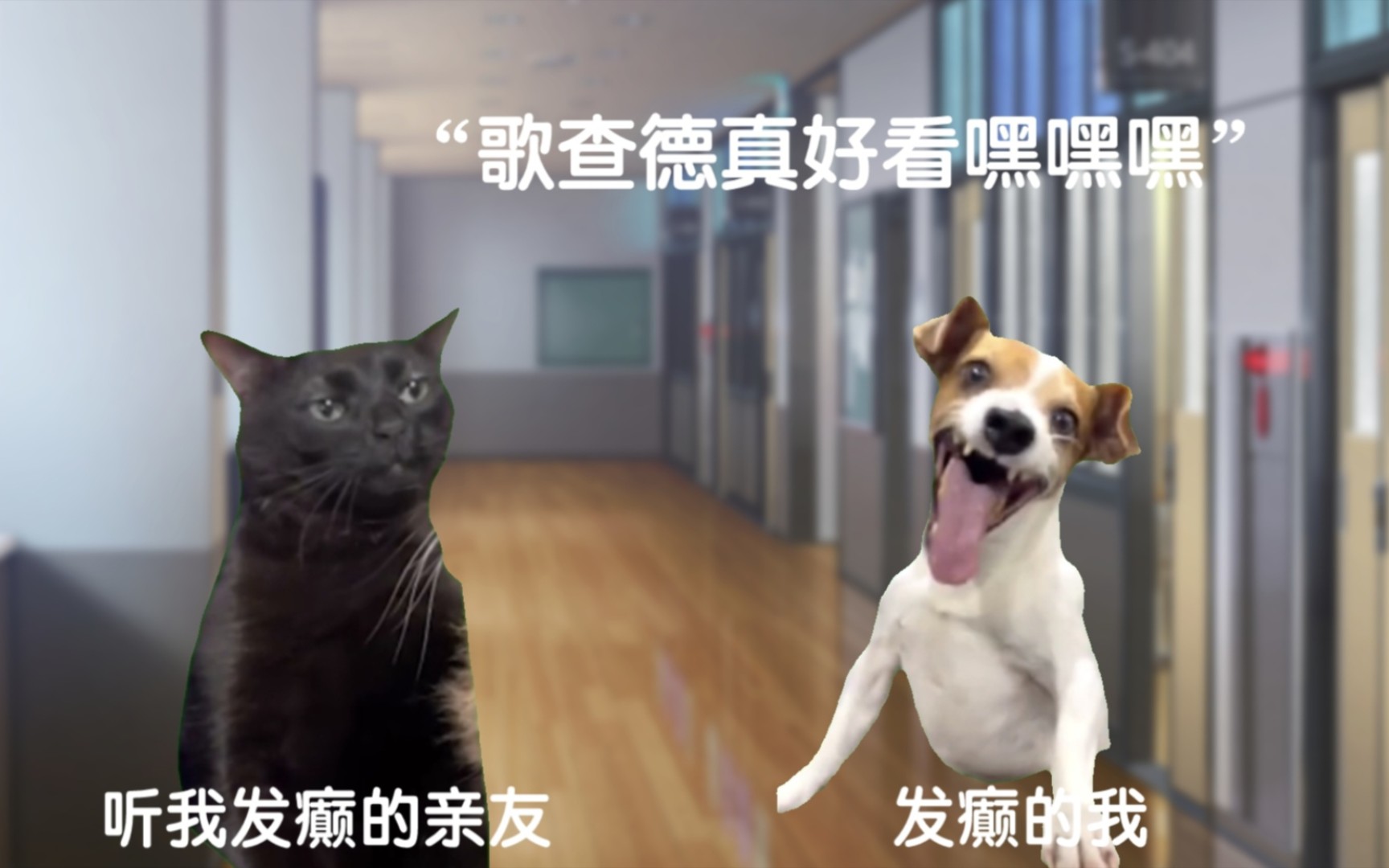 [图]【猫meme】关于我看假面骑士歌查德的心路历程（内含微量剧透+一九CP向）