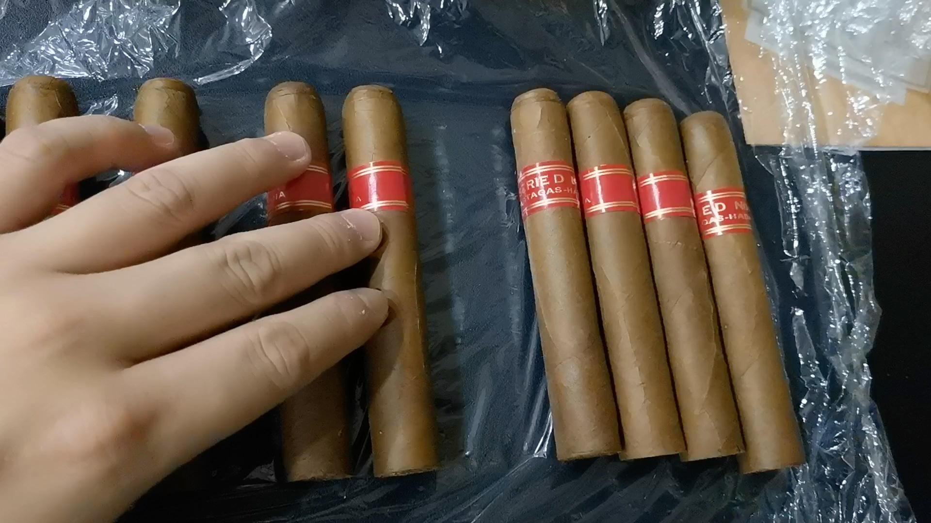 雪茄知识讲解:帕特加斯 d4