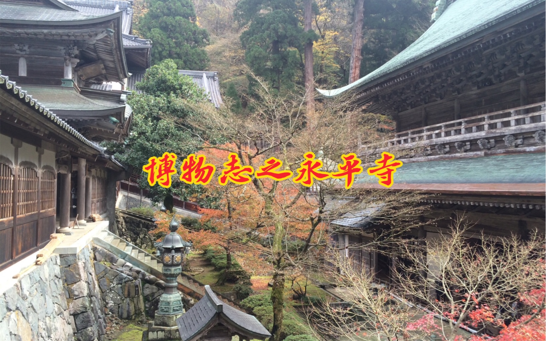 [图]博物志之永平寺