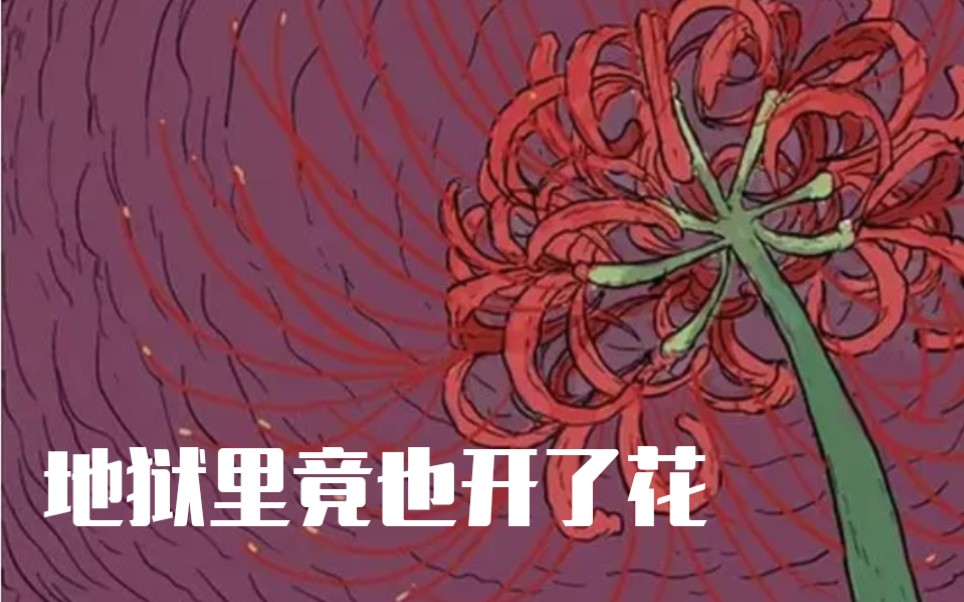 六月彼岸花曼珠沙华的来源催泪向祝耕夫地狱冥河之花