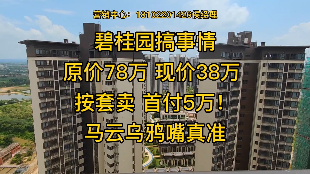 碧桂园搞事情.原价78万 现价38万三房两厅,首付5万一套!哔哩哔哩bilibili