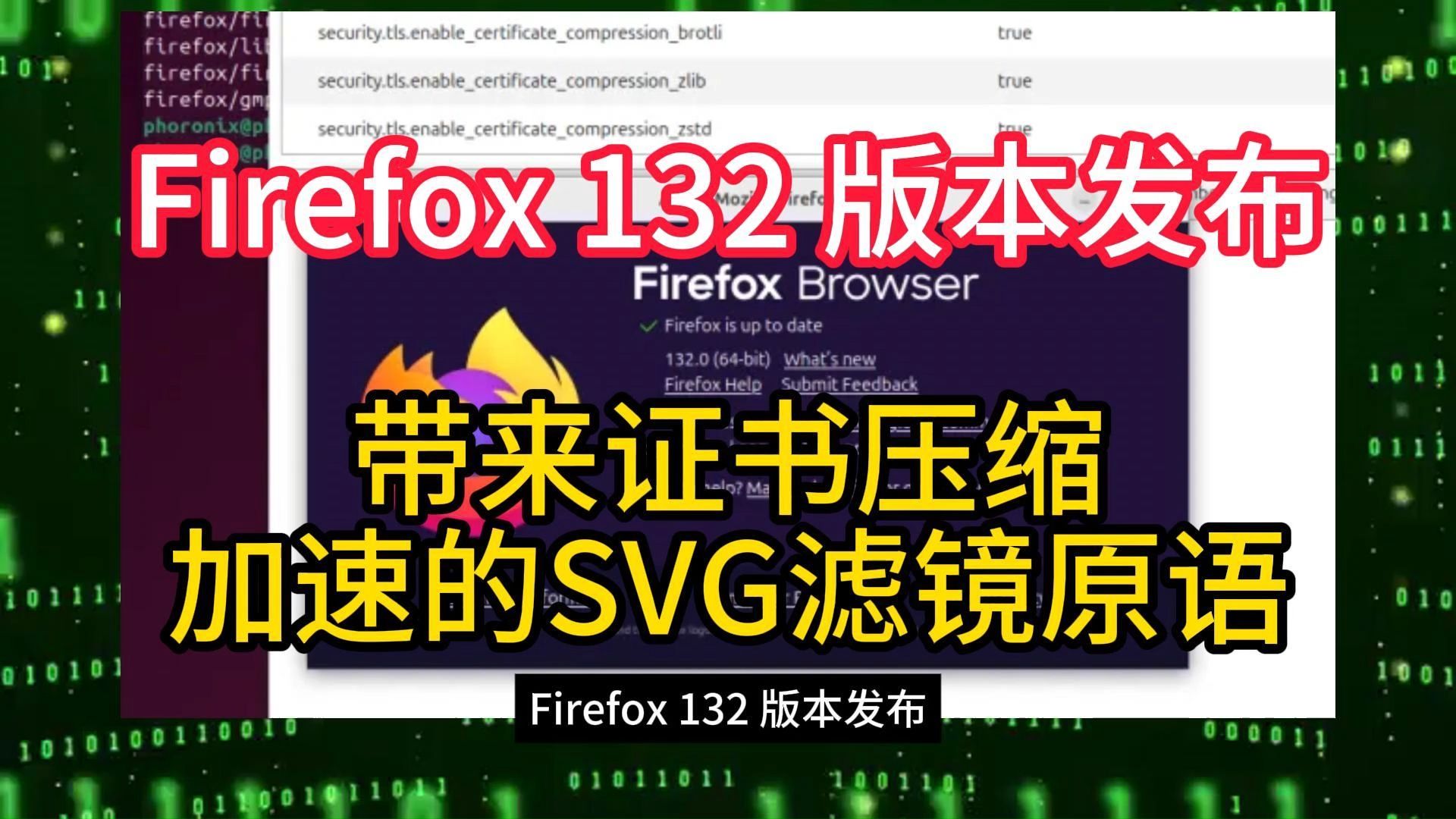 Firefox 132 版本发布带来证书压缩加速的SVG滤镜原语哔哩哔哩bilibili