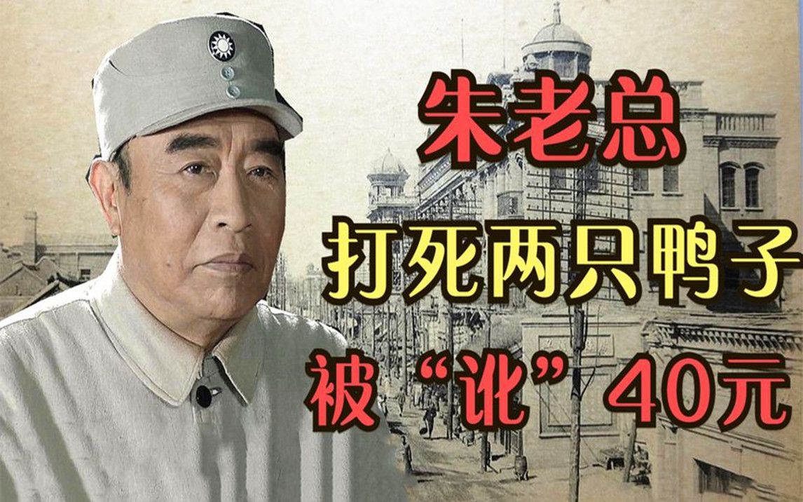 1948年,朱老总开枪打死两只“野鸭”,被农妇索赔两只40元!哔哩哔哩bilibili