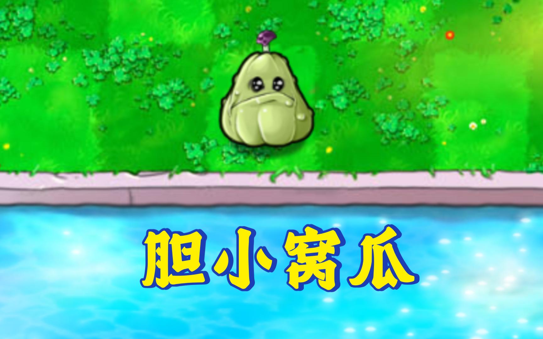 Download Video: 新植物：胆小窝瓜